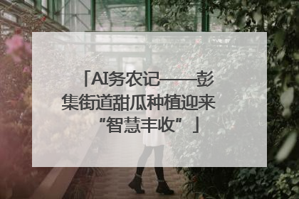 AI务农记——彭集街道甜瓜种植迎来“智慧丰收”