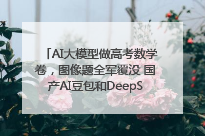 AI大模型做高考数学卷，图像题全军覆没 国产AI豆包和DeepSeek均得分144