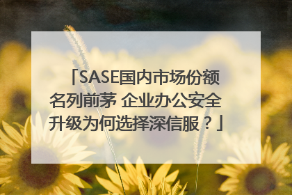 SASE国内市场份额名列前茅 企业办公安全升级为何选择深信服？